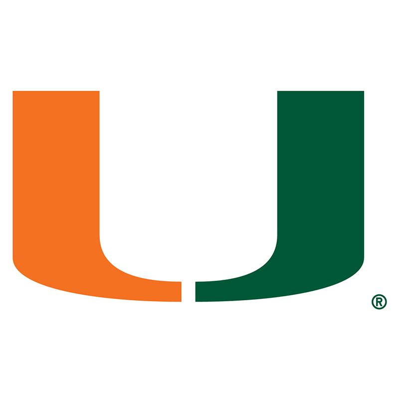 Miami Hurricanes iron ons